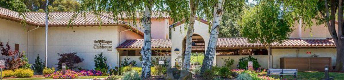 Villages Webmasters Guild